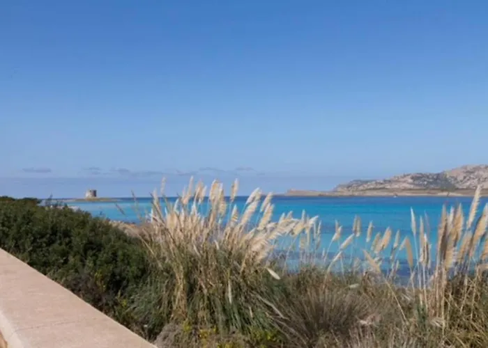 Turchese Sardinia Villa Stintino