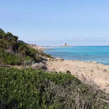 Turchese Sardinia Stintino