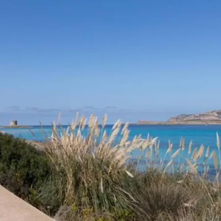 Turchese Sardinia Villa Stintino